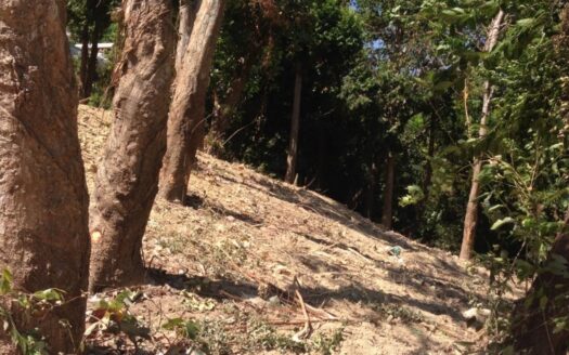 Tamarind Bay Ocean Front Land Phuket