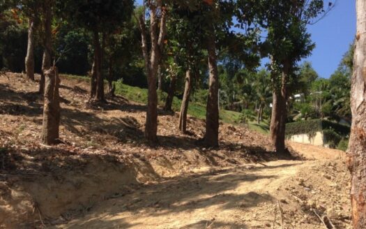 Tamarind Bay Ocean Front Land Phuket